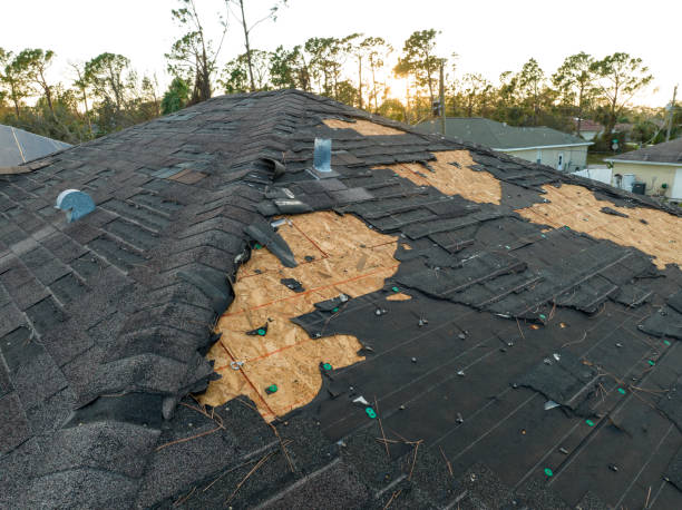 Best Steel Roofing  in Heartland, TX